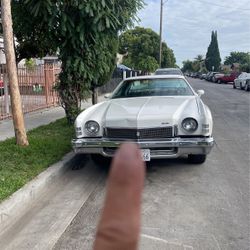1974 Montecarlo 