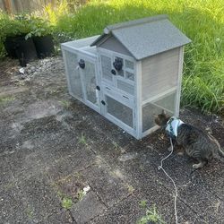 Chicken Coop
