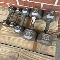 Dumb Bells 