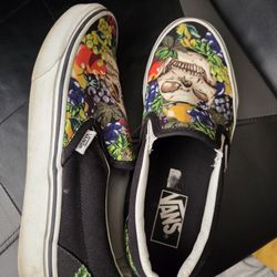 Skull Vans 