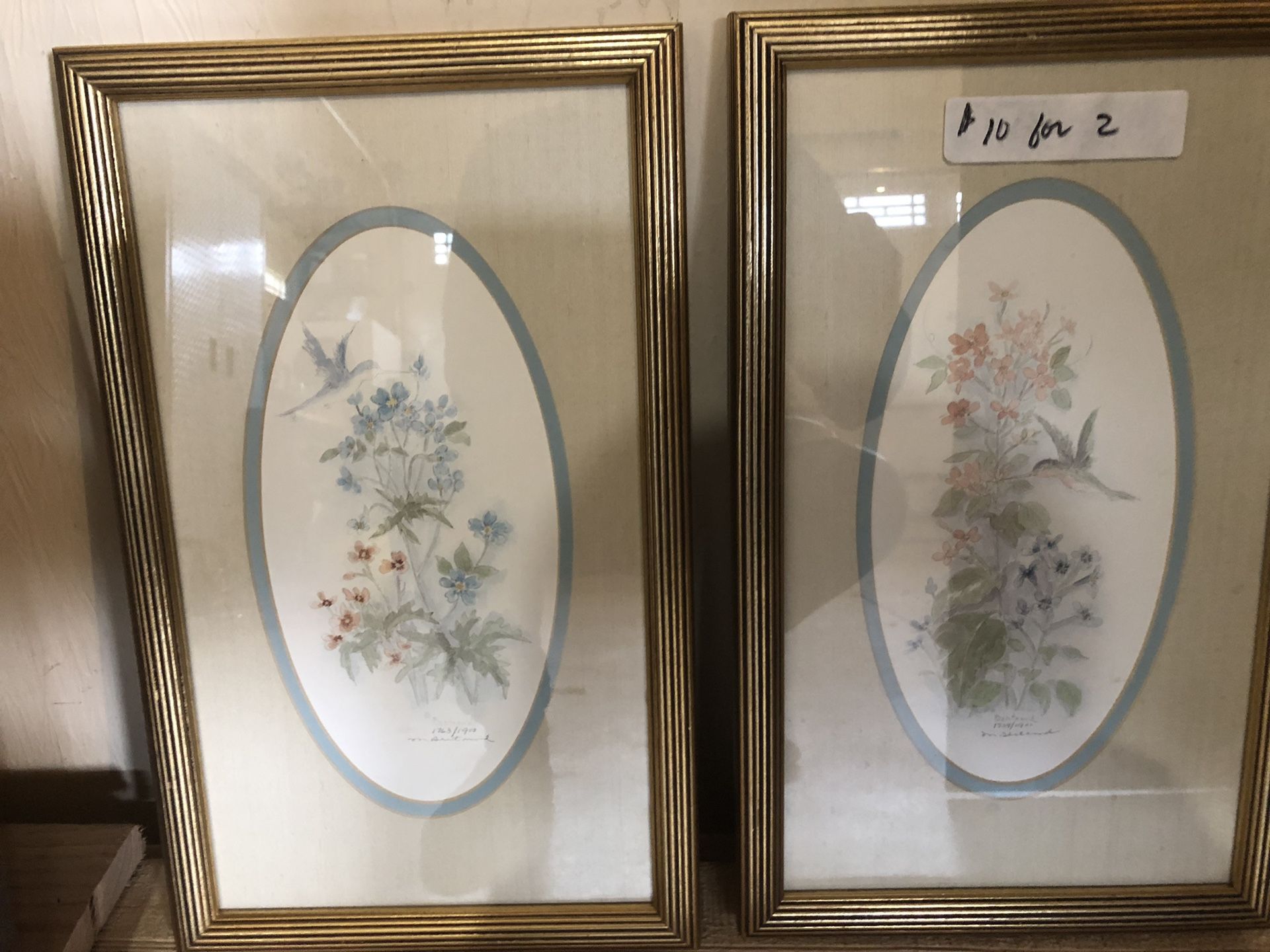 Set of Humming Bird Pictures