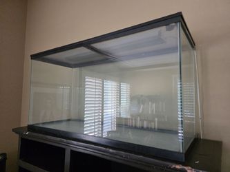 Terrarium