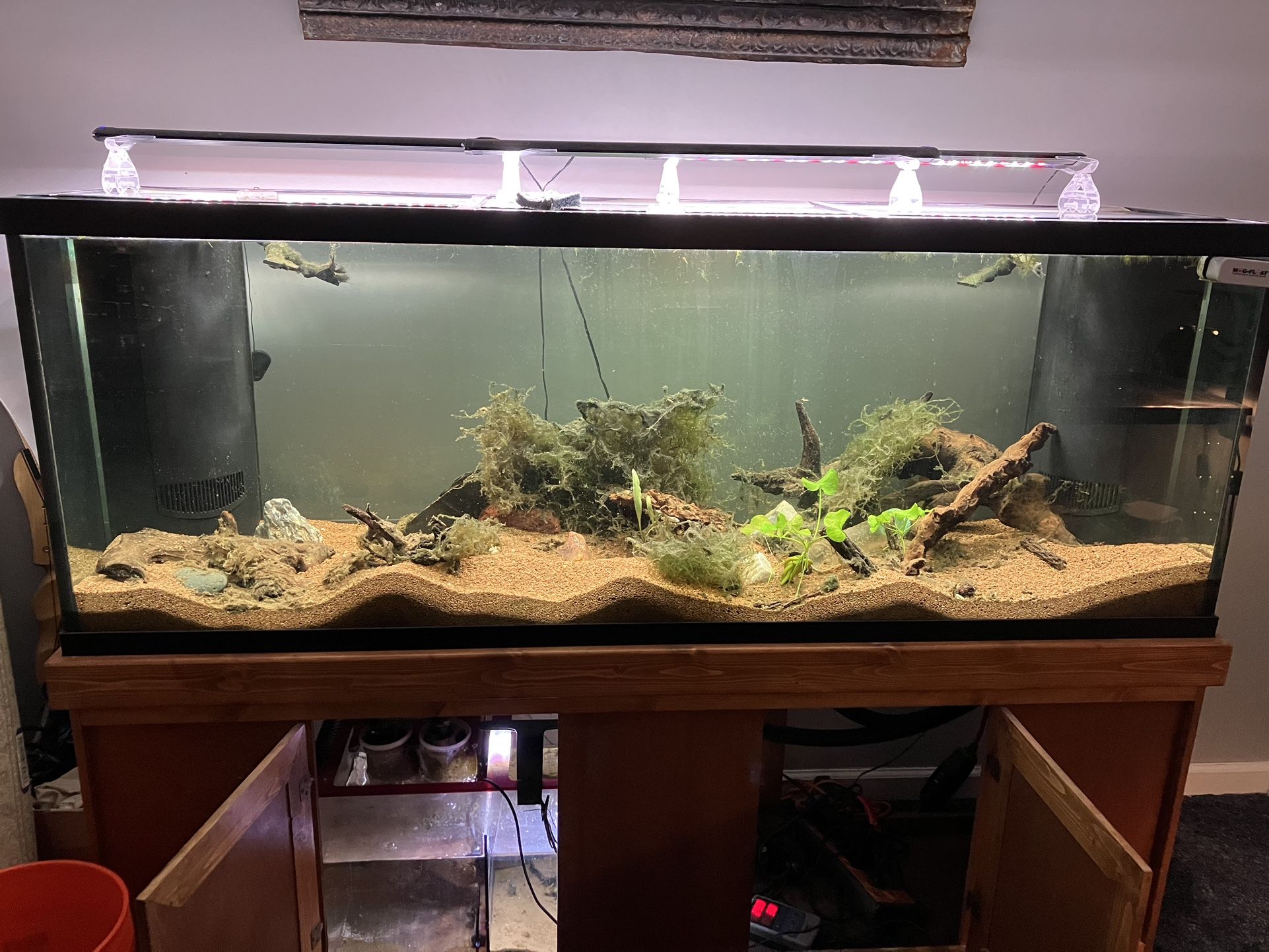 150 Gallon Tank Dual Overflow With Stand 