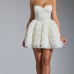 Oh Polly White Mini Dress (brand new)