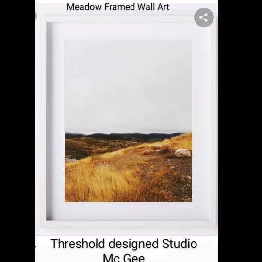 Brand New Threshold Designed Studio Mc Gee Meadow frame Wall Art