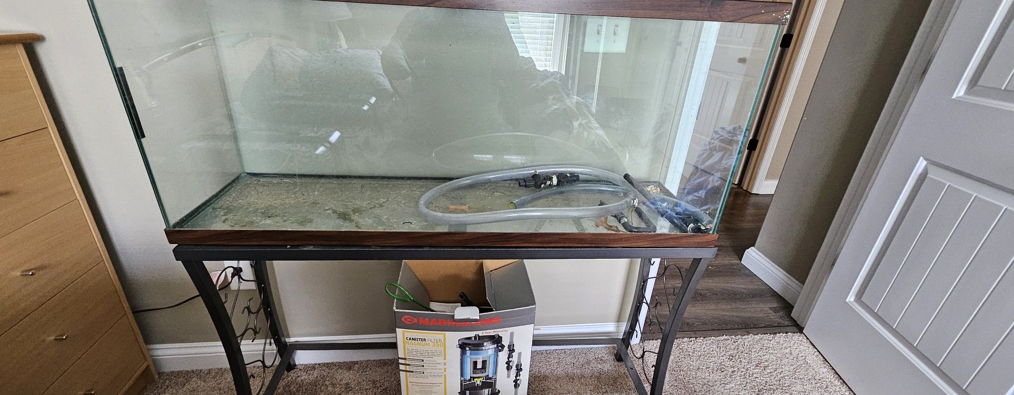 50 Gallon Aquarium