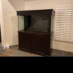 Fish Tank, Neptune System,  RO/RI System