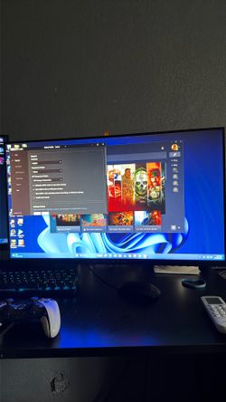 Alienware 240hz 25in monitor