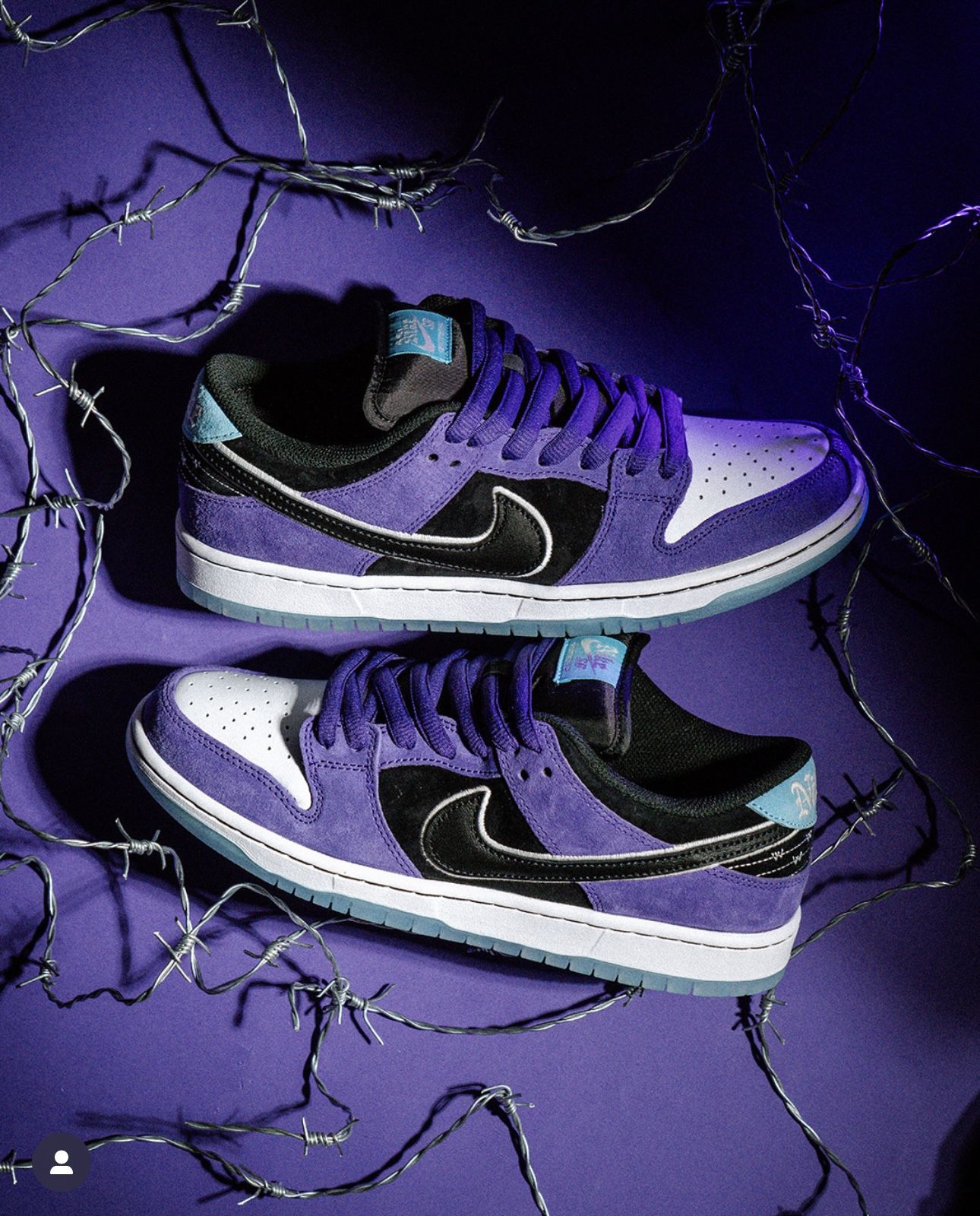 Nike SB Dunk Low x Hayley Wilson