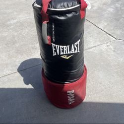 Everlast Punching Bag