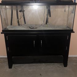 55 Gallon Tank And Stand 