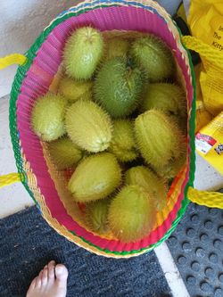 challotes