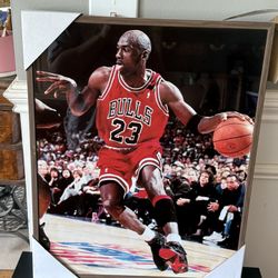 Micheal Jordan Frame 