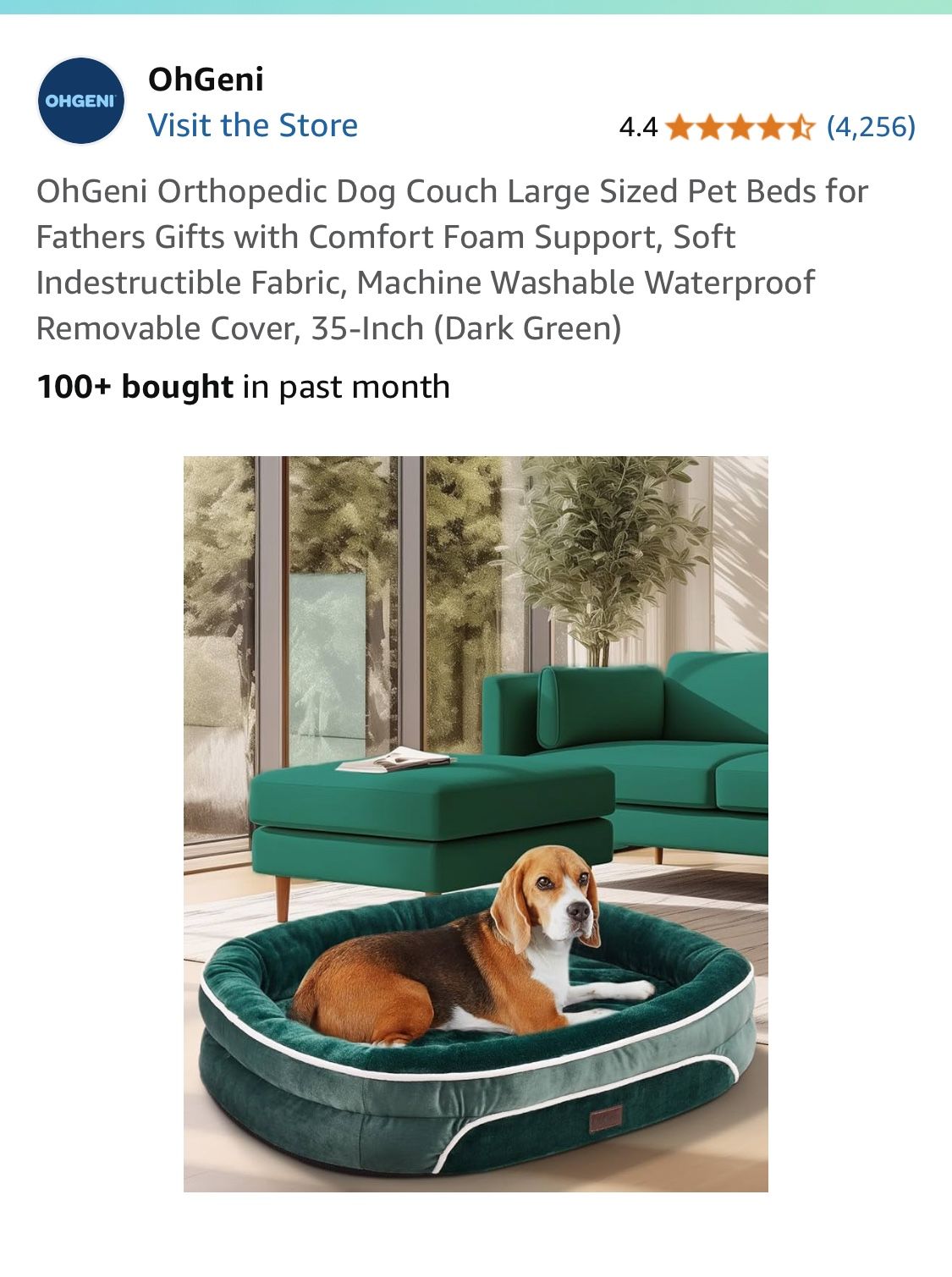 Ohgeni New Large Dog Couch Bed