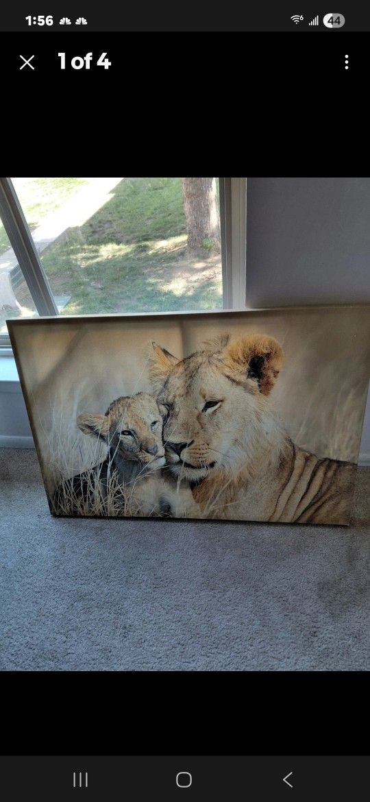 Lion King Art Best In Person Offers