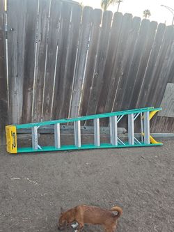 Werner 8 ft ladder
