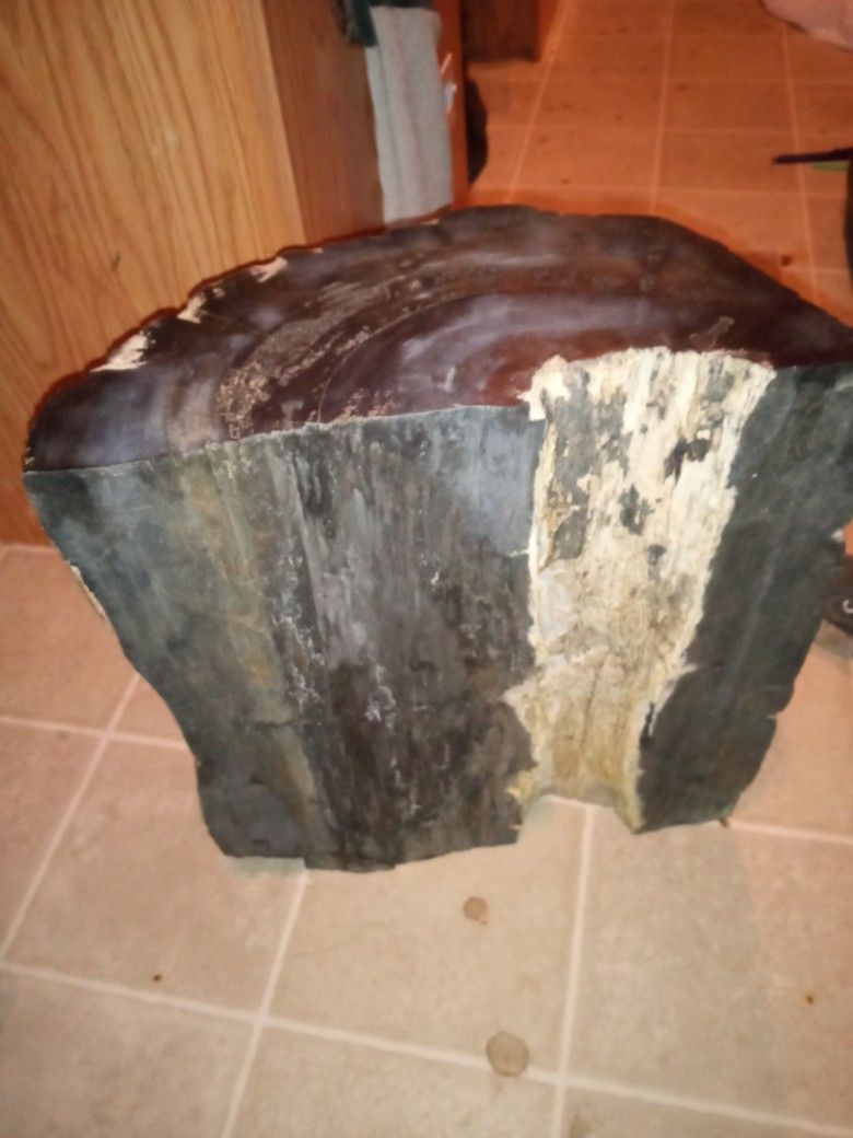 Petrified Wood