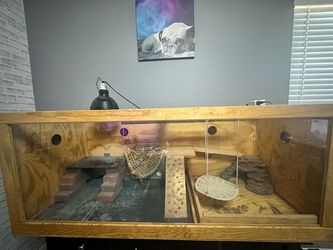 Bearded Dragon 6X3X3 Enclosure