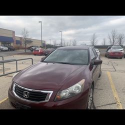 2010 honda accord 