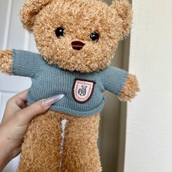 Cute Teddy Bear Plush Toy, Graduation Bear Doll, Stuffed Bear Hug Toy, Birthday Gift for Girls