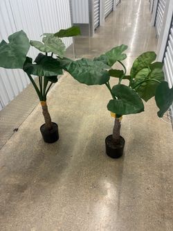Artificial plants 2 for $30