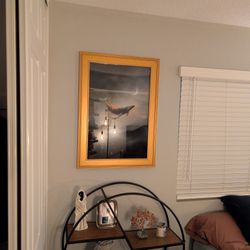 20 x 30 Whale Art with Frame 