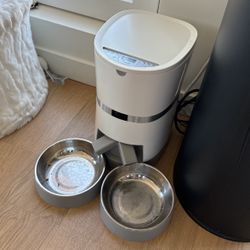 Cat Auto Feeder