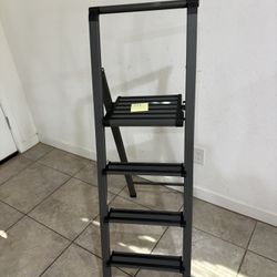 Sorry Step Ladder