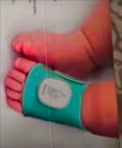 Sock Shoe Bundle
Sense-U Smart Baby Sock Monitor and 2.5K PTZ Camera, Tracks Heart