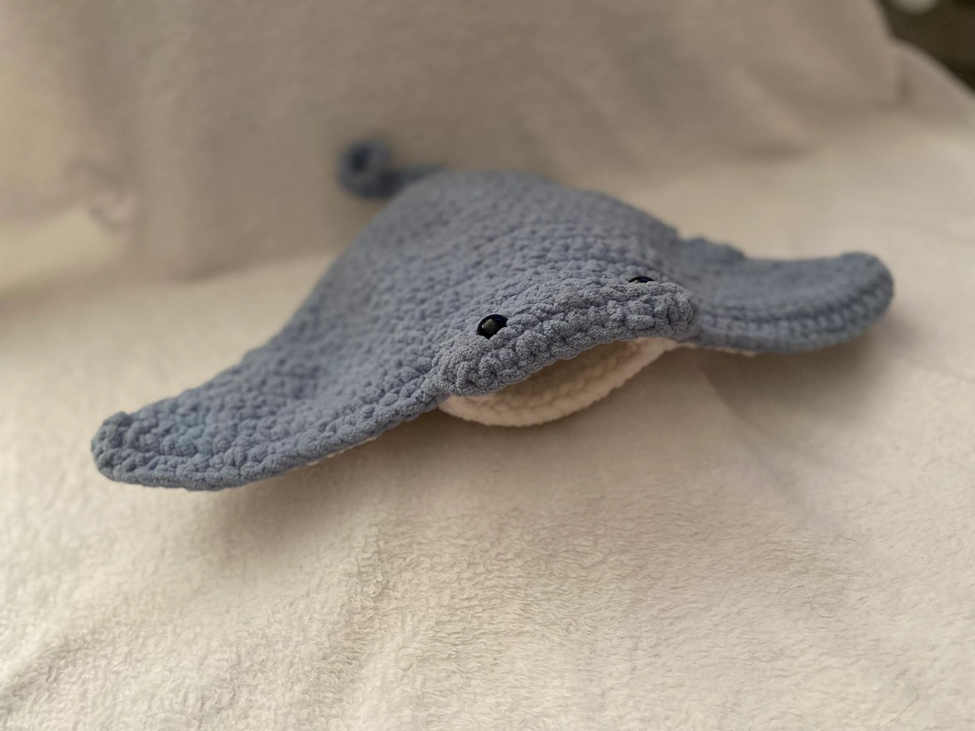 Big Mouth StingRay