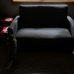 Pull Out Bed Couch