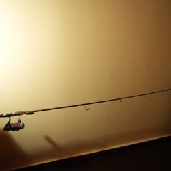 Fishing Rod 