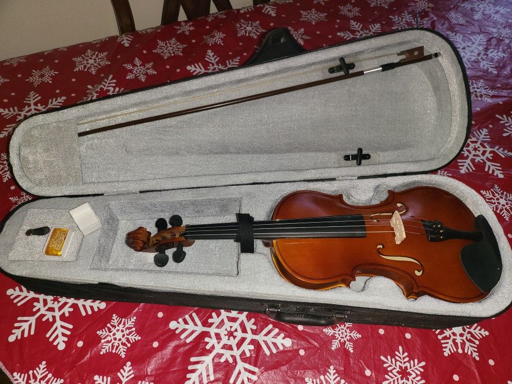 Violin