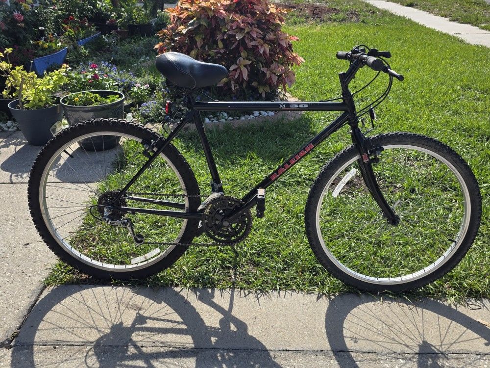 Raleigh M 30 Mountain Bike