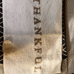 Bathroom Rug Threshold