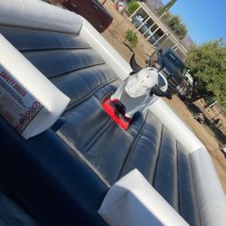 For Sale New Mechanic Bull 