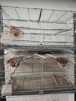 Bird Cages