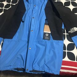 NorthFace 1994 Retro Mountain Light FUTURELIGHT Jacket 