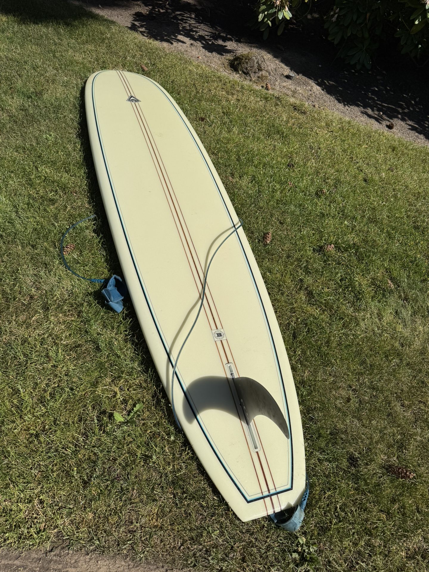 Raw Surfboard (longboard)