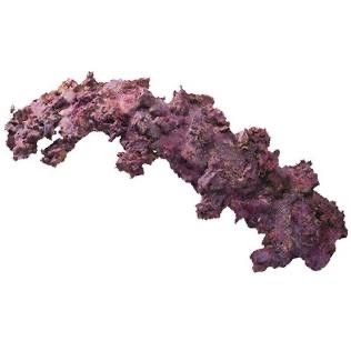 Life Rock MEGA Arch (24