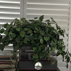 Large artificial plant in basket