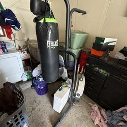 Everlast Punching Bag and Stand with gloves