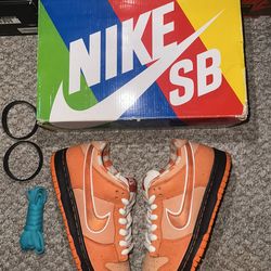 Nike Sb Dunk Low "Orange Lobster" Size 8.5 (Worn 3x/Clean) ❤️‍🔥