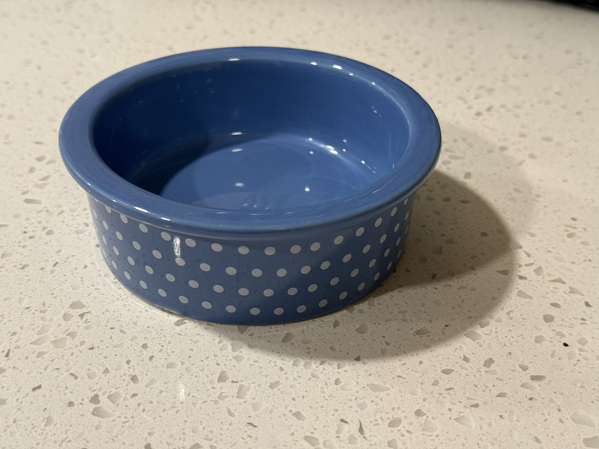 Blue & White Cat Dish