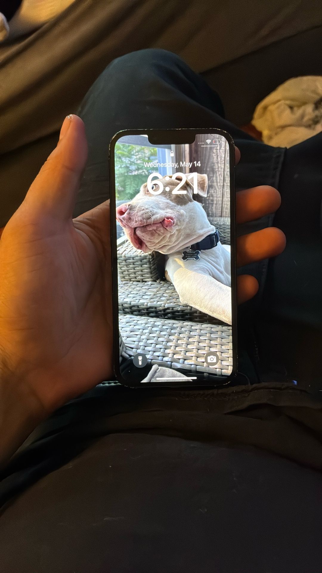 iPhone 13 