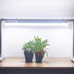 bstrip t5 2ft double grow light strip with stand