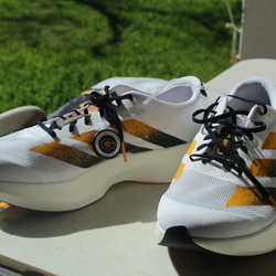 Adidas AdiZero EVO SL Grambling St Tigers