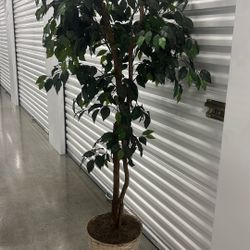 Fake plant 