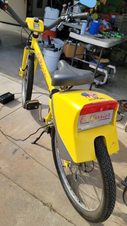 E V Warrior electric bike