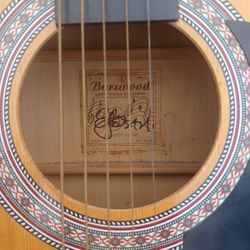 Guitar 